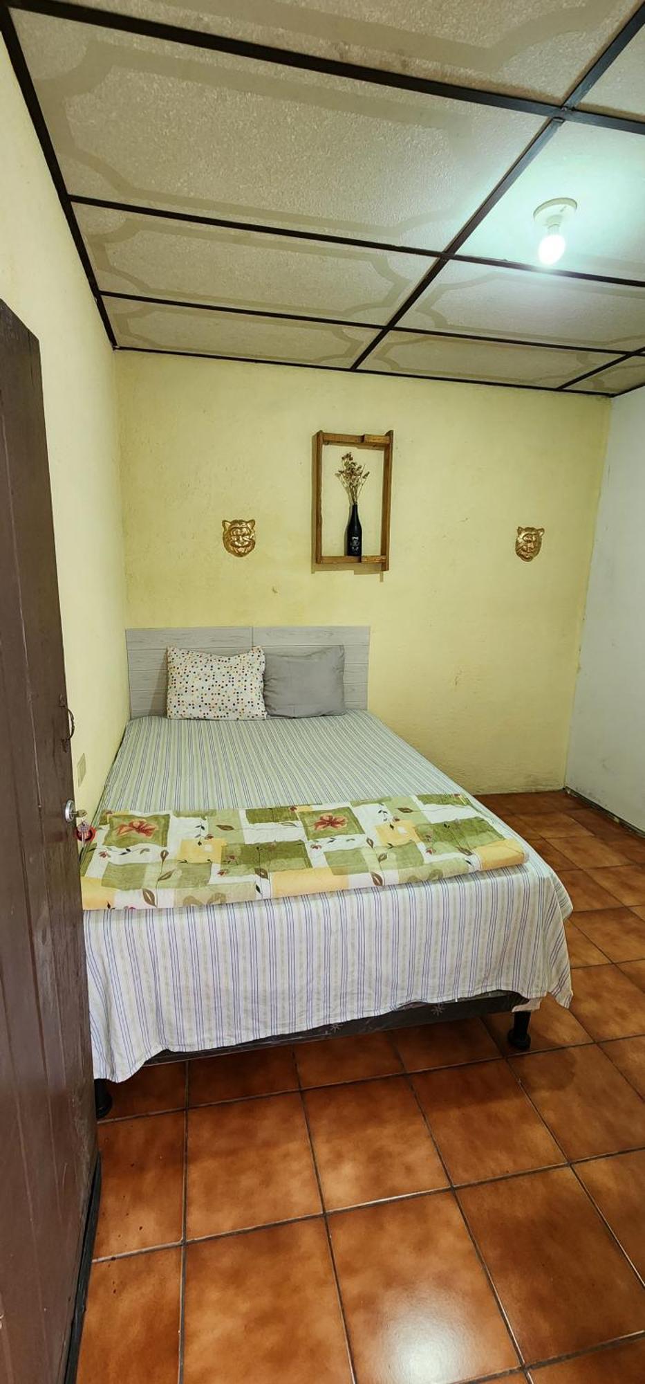 Jaguar Basic Accommodation Antigua Εξωτερικό φωτογραφία