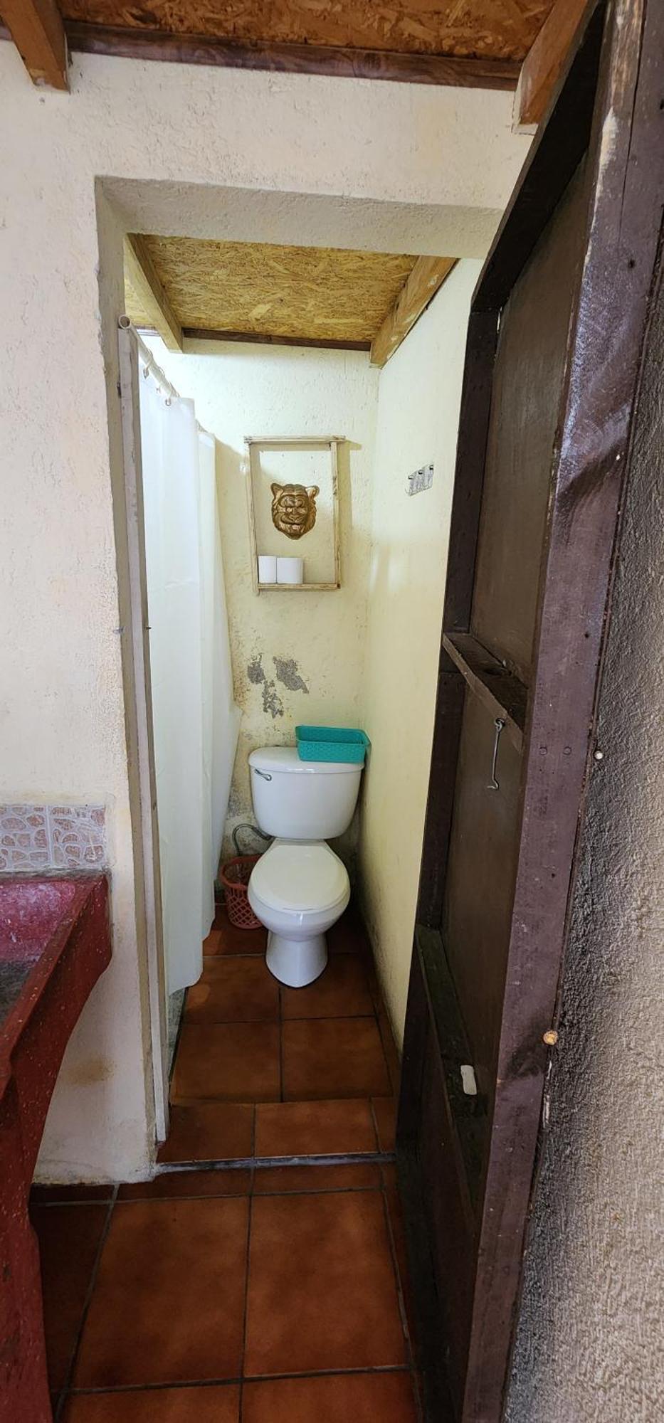 Jaguar Basic Accommodation Antigua Εξωτερικό φωτογραφία