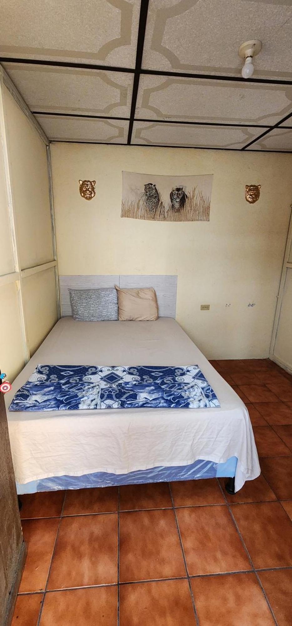 Jaguar Basic Accommodation Antigua Εξωτερικό φωτογραφία